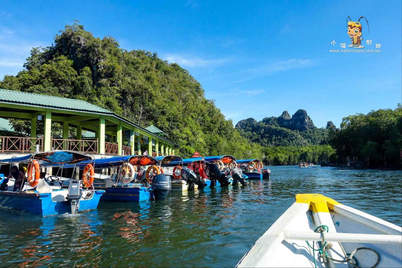 Jelajahi Mangrove Tour Langkawi: Surga Ekosistem Pesisir