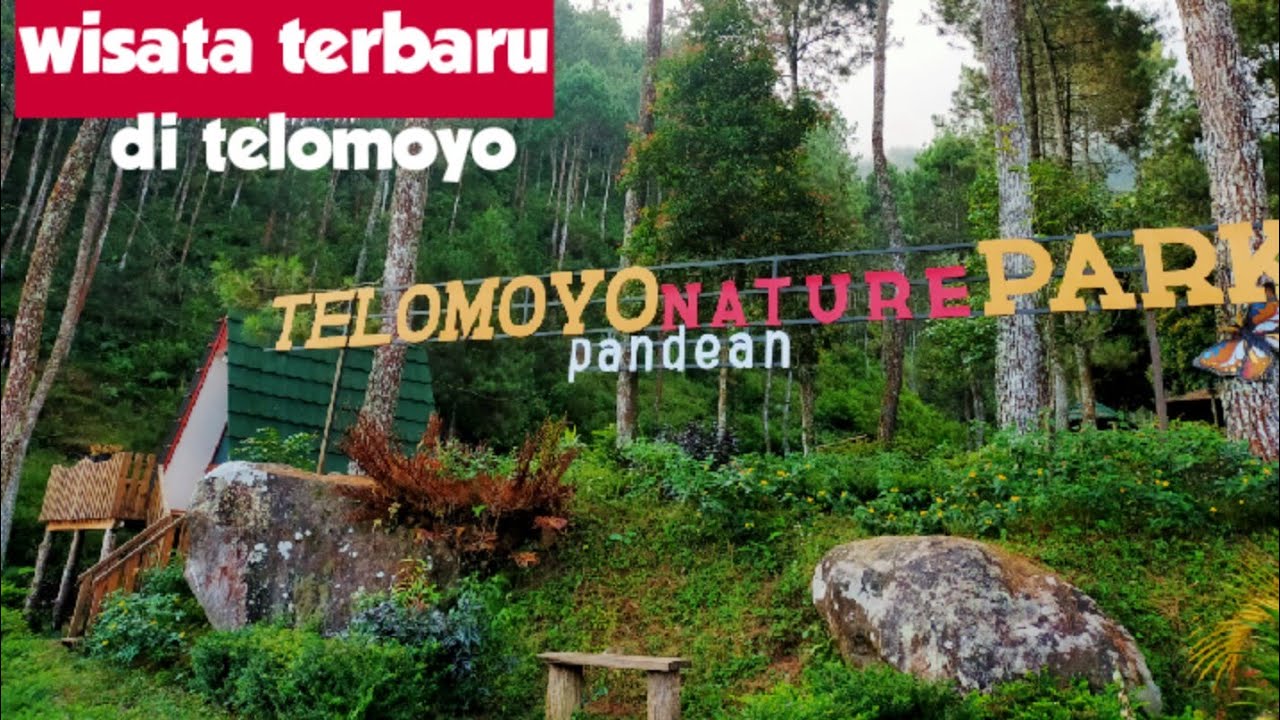 Telomoyo Nature Park: Menjelajahi Pesona Alam Jawa Tengah